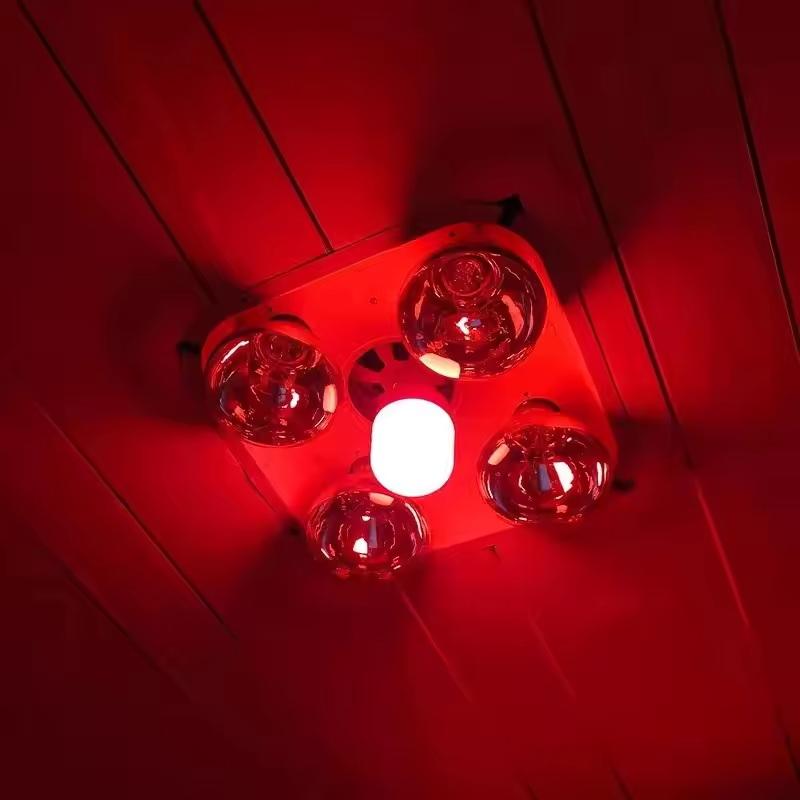 Outdoor Lighting Solar - مصباح LED أحمر جديد عالي القدرة